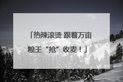 热辣滚烫 跟着万亩粮王“抢”收麦！