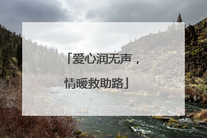 爱心润无声，情暖救助路