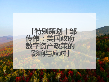 特别策划丨邹传伟：美国政府数字资产政策的影响与应对