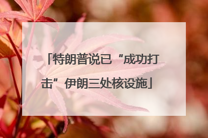 特朗普说已“成功打击”伊朗三处核设施
