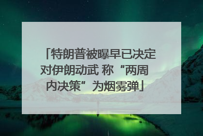 特朗普被曝早已决定对伊朗动武 称“两周内决策”为烟雾弹