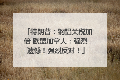特朗普：钢铝关税加倍 欧盟加拿大：强烈遗憾！强烈反对！