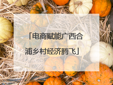 电商赋能广西合浦乡村经济腾飞