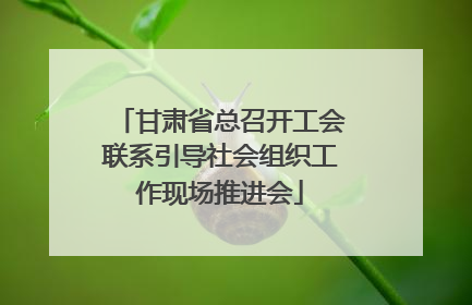 甘肃省总召开工会联系引导社会组织工作现场推进会