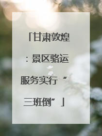 甘肃敦煌：景区骆运服务实行“三班倒”