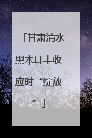 甘肃清水黑木耳丰收应时“绽放”