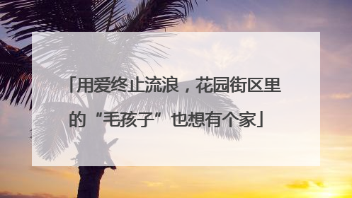 用爱终止流浪，花园街区里的“毛孩子”也想有个家
