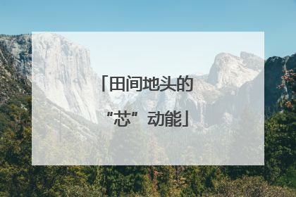 田间地头的“芯”动能