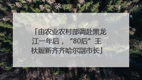 由农业农村部调赴黑龙江一年后，“80后”王杕履新齐齐哈尔副市长