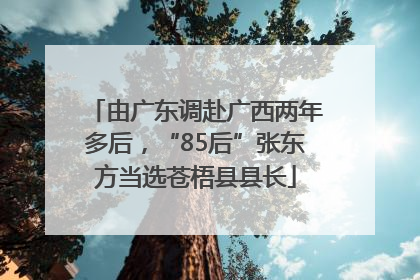 由广东调赴广西两年多后，“85后”张东方当选苍梧县县长