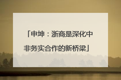 申坤：浙商是深化中非务实合作的新桥梁
