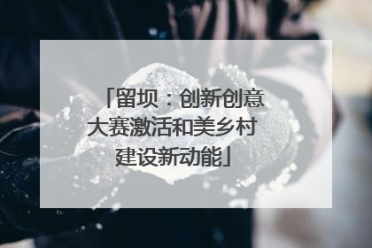 留坝：创新创意大赛激活和美乡村建设新动能