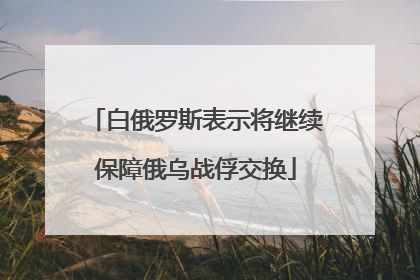 白俄罗斯表示将继续保障俄乌战俘交换