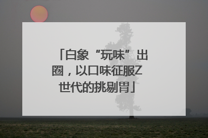 白象“玩味”出圈，以口味征服Z世代的挑剔胃