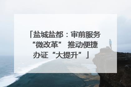 盐城盐都：审前服务“微改革” 推动便捷办证“大提升”