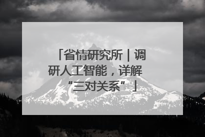 省情研究所｜调研人工智能，详解“三对关系”
