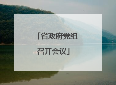 省政府党组召开会议