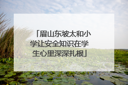 眉山东坡太和小学让安全知识在学生心里深深扎根
