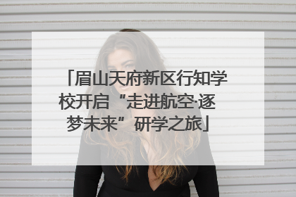 眉山天府新区行知学校开启“走进航空·逐梦未来”研学之旅