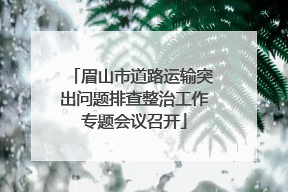 眉山市道路运输突出问题排查整治工作专题会议召开
