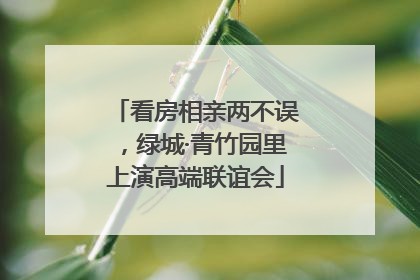 看房相亲两不误，绿城·青竹园里上演高端联谊会