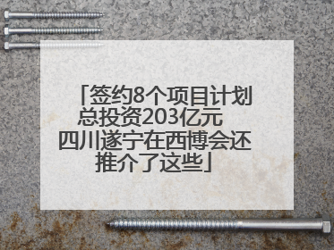 签约8个项目计划总投资203亿元 四川遂宁在西博会还推介了这些