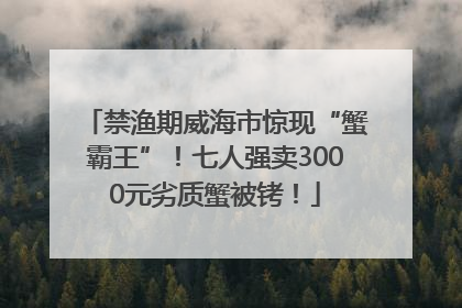 禁渔期威海市惊现“蟹霸王”！七人强卖3000元劣质蟹被铐！