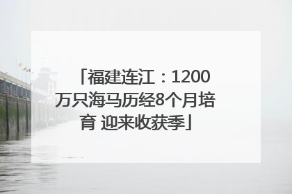 福建连江：1200万只海马历经8个月培育 迎来收获季