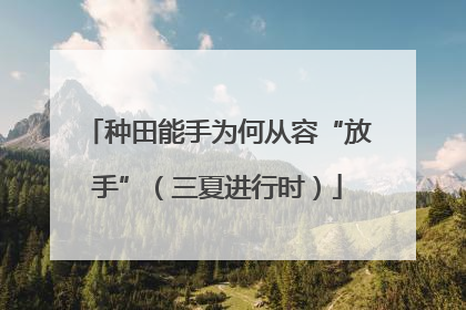 种田能手为何从容“放手”（三夏进行时）