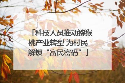 科技人员推动猕猴桃产业转型 为村民解锁“富民密码”