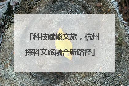 科技赋能文旅，杭州探科文旅融合新路径