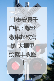 秦安县千户镇：螺丝椒串起致富链 大棚里绘就丰收图