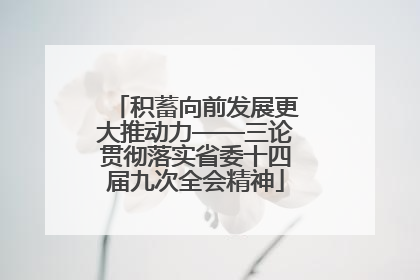 积蓄向前发展更大推动力——三论贯彻落实省委十四届九次全会精神