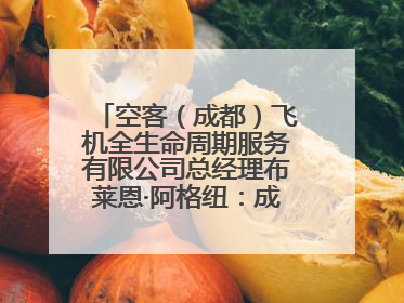 空客（成都）飞机全生命周期服务有限公司总经理布莱恩·阿格纽：成都航空产业生态完备，营商环境优势显著