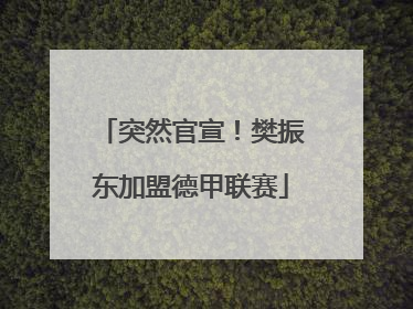 突然官宣！樊振东加盟德甲联赛