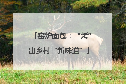 窑炉面包：“烤”出乡村“新味道”