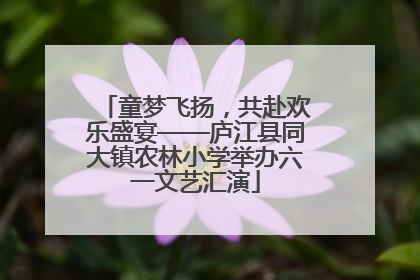 童梦飞扬，共赴欢乐盛宴——庐江县同大镇农林小学举办六一文艺汇演