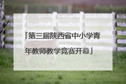 第三届陕西省中小学青年教师教学竞赛开幕
