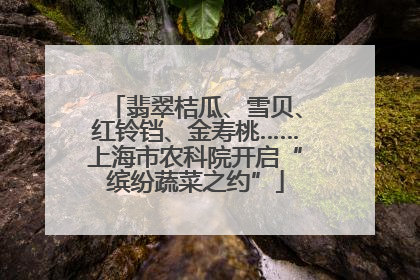 翡翠桔瓜、雪贝、红铃铛、金寿桃……上海市农科院开启“缤纷蔬菜之约”