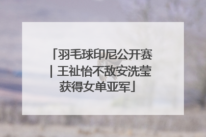 羽毛球印尼公开赛｜王祉怡不敌安洗莹 获得女单亚军