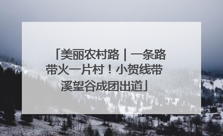 美丽农村路｜一条路带火一片村！小贺线带溪望谷成团出道