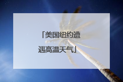 美国纽约遭遇高温天气