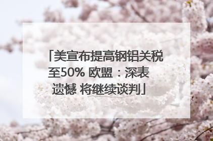 美宣布提高钢铝关税至50% 欧盟：深表遗憾 将继续谈判
