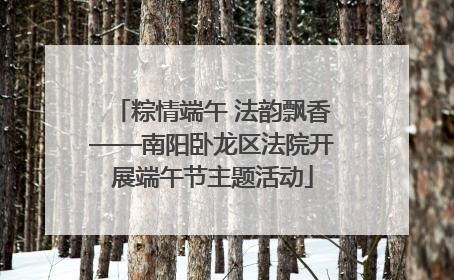 粽情端午 法韵飘香——南阳卧龙区法院开展端午节主题活动