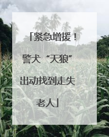 紧急增援！警犬“天狼”出动找到走失老人