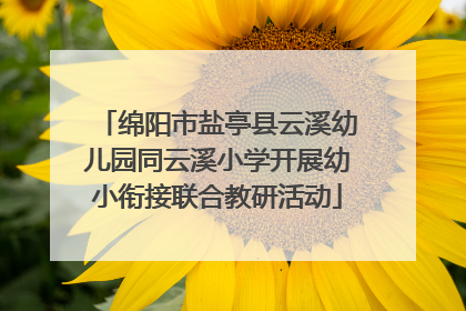 绵阳市盐亭县云溪幼儿园同云溪小学开展幼小衔接联合教研活动