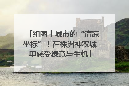 组图丨城市的“清凉坐标”！在株洲神农城里感受绿意与生机