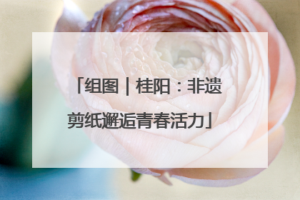 组图｜桂阳：非遗剪纸邂逅青春活力