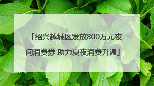 绍兴越城区发放800万元夜间消费券 助力夏夜消费升温