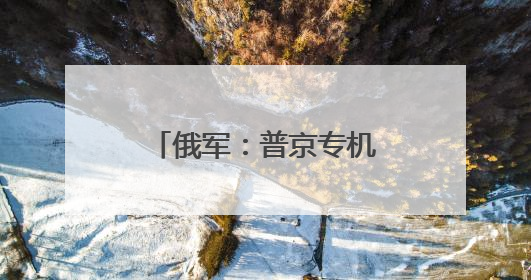 俄军：普京专机遭大规模袭击